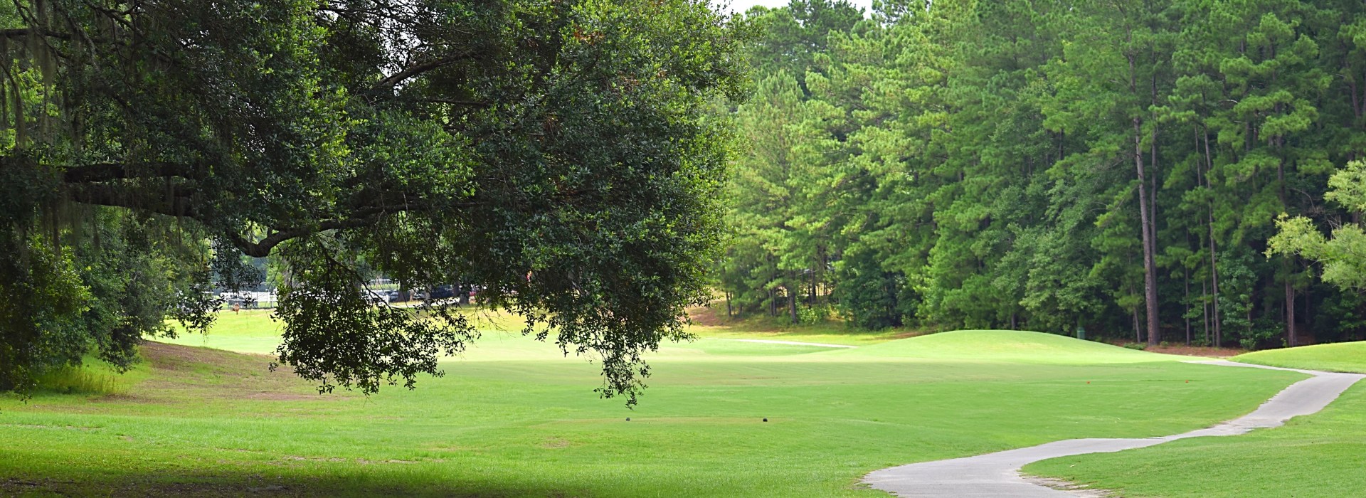 Cart Path